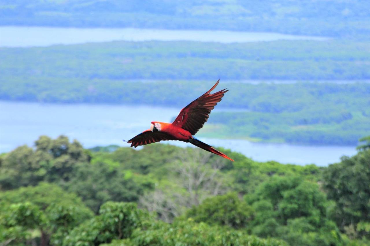 Ecobiosfera Hotell Catemaco Exteriör bild